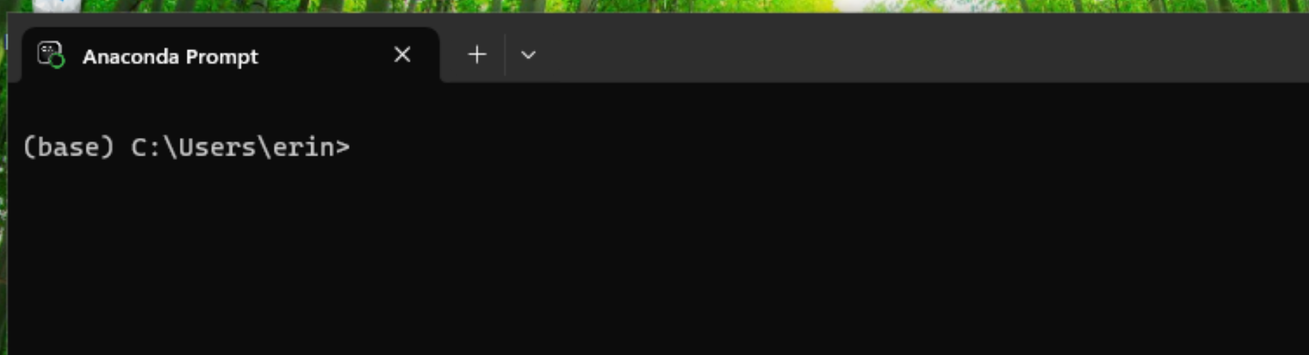 Anaconda Prompt